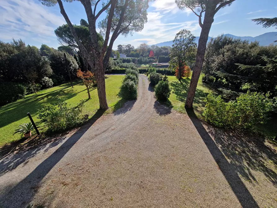 Immagine 4 di Villa in vendita  in Via di Sant'Alessio a Lucca