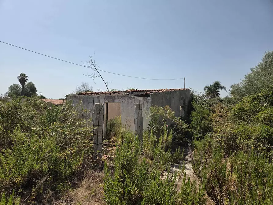 Immagine 12 di Terreno agricolo in vendita  a Siracusa