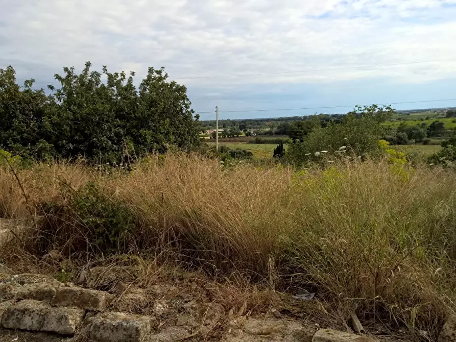 Immagine 3 di Terreno agricolo in vendita  a Siracusa