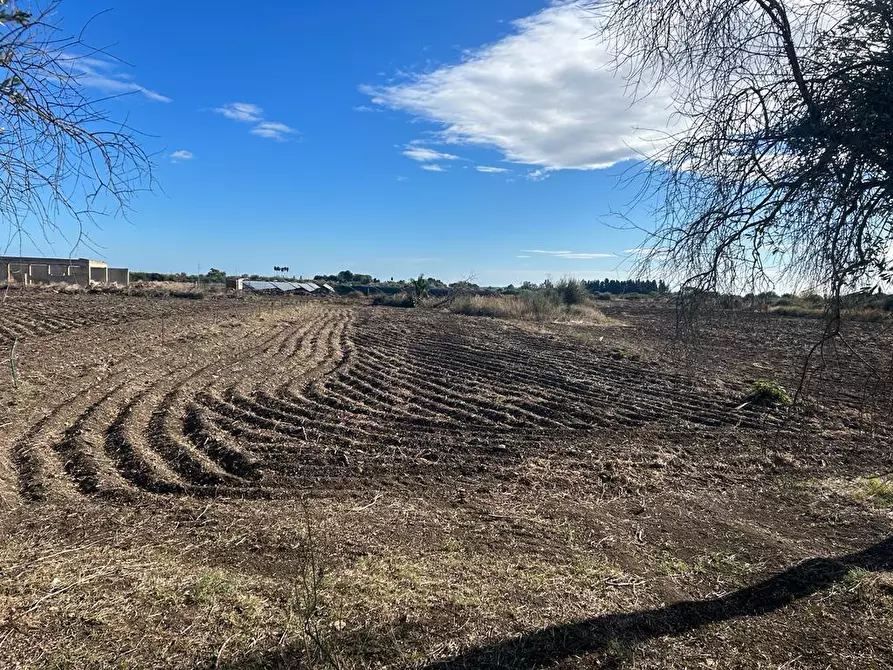 Immagine 2 di Terreno agricolo in vendita  a Siracusa
