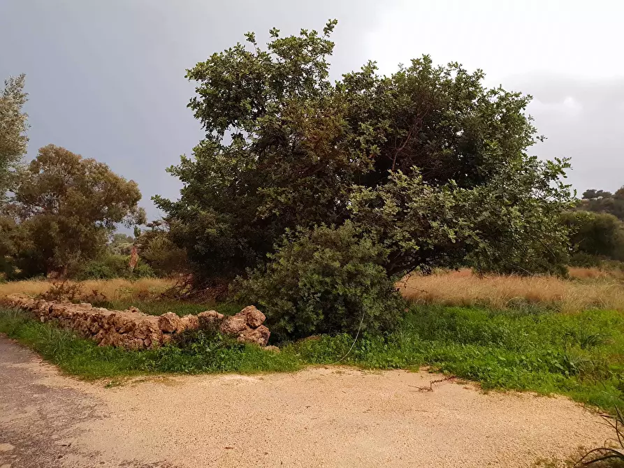 Immagine 8 di Terreno agricolo in vendita  a Siracusa