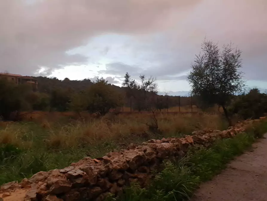 Immagine 6 di Terreno agricolo in vendita  a Siracusa