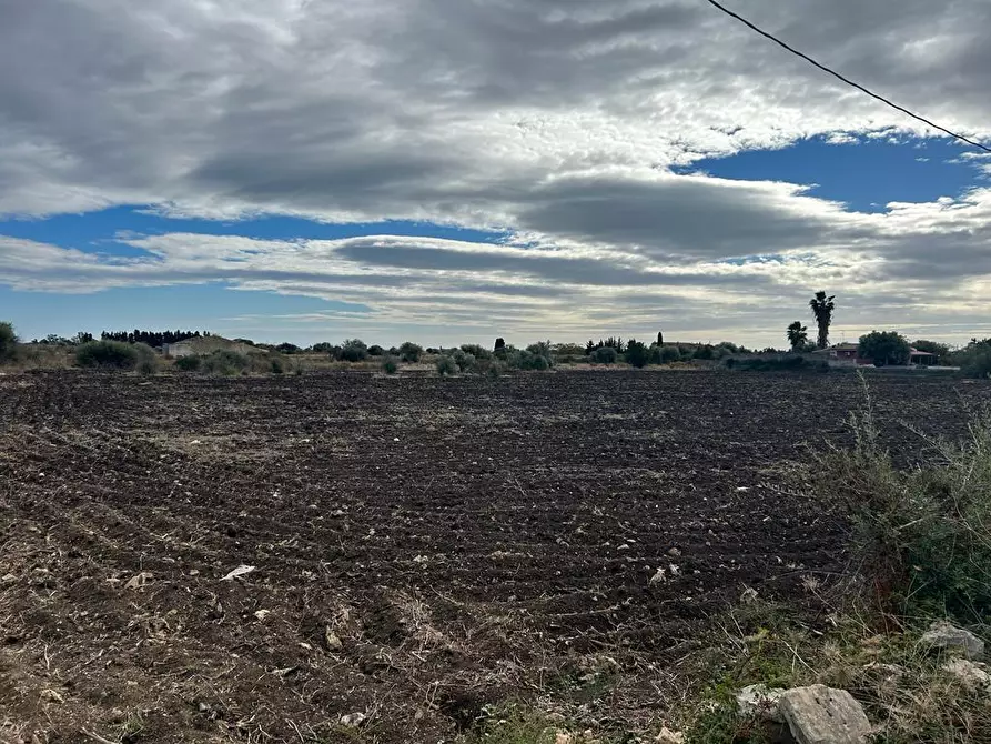 Immagine 5 di Terreno agricolo in vendita  a Siracusa