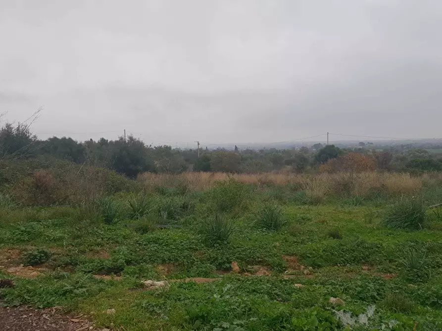 Immagine 1 di Terreno agricolo in vendita  a Siracusa