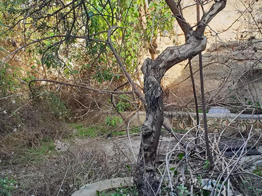 Immagine 3 di Terreno edificabile in vendita  a Siracusa