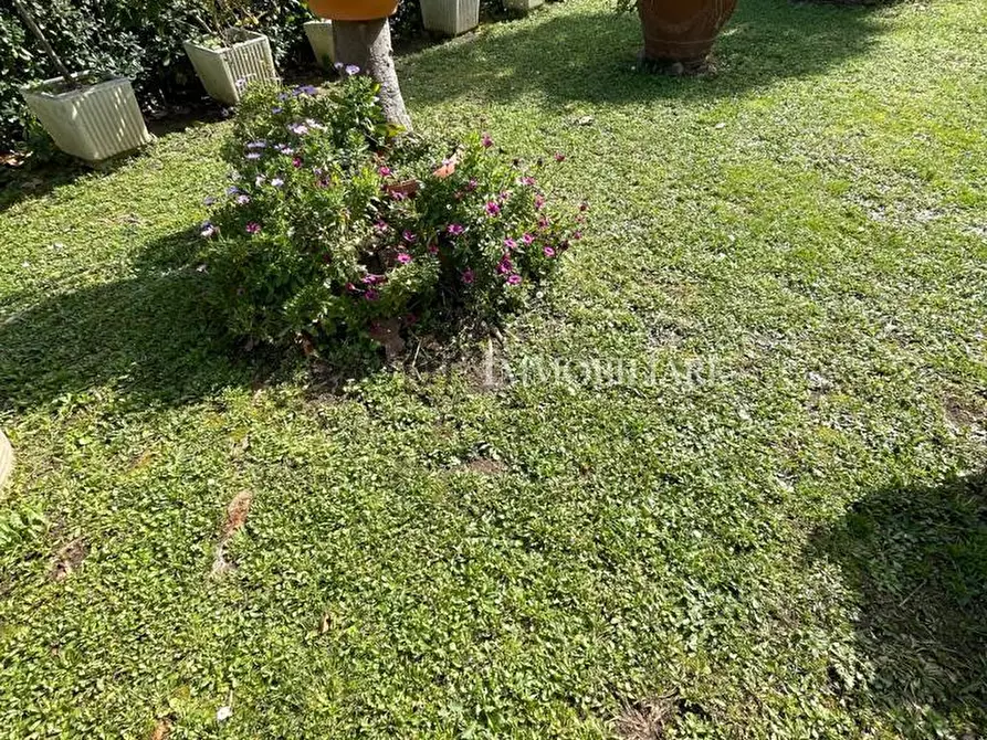 Immagine 6 di Casa semindipendente in vendita  a Livorno