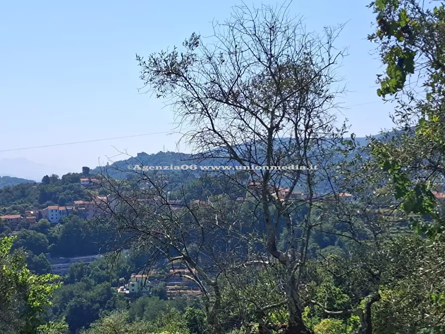 Immagine 10 di Rustico / casale in vendita  a Arcola