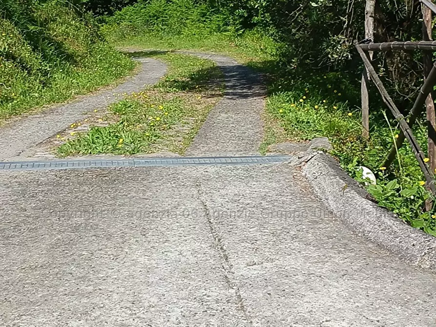 Immagine 10 di Terreno edificabile in vendita  a Arcola