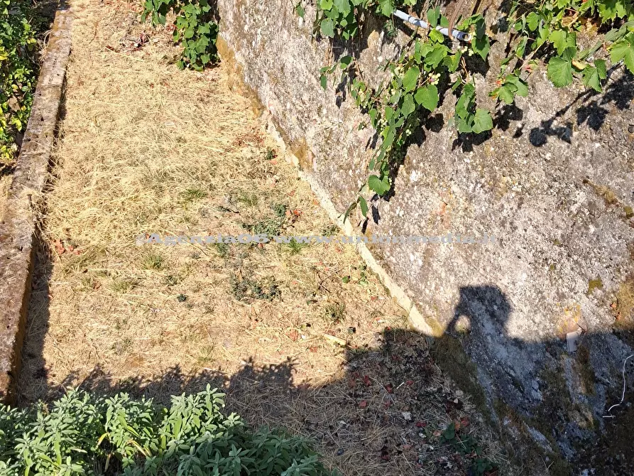 Immagine 19 di Appartamento in vendita  a Arcola