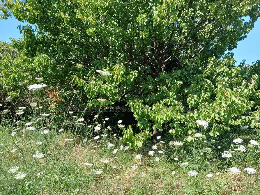 Immagine 12 di Casa semindipendente in vendita  a Arcola
