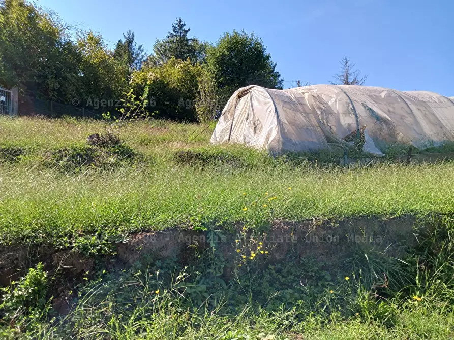 Immagine 9 di Rustico / casale in vendita  a Arcola