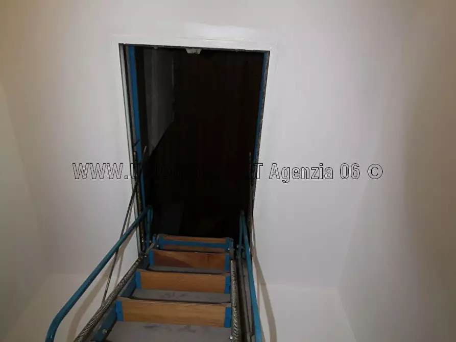 Immagine 16 di Appartamento in affitto  a Arcola