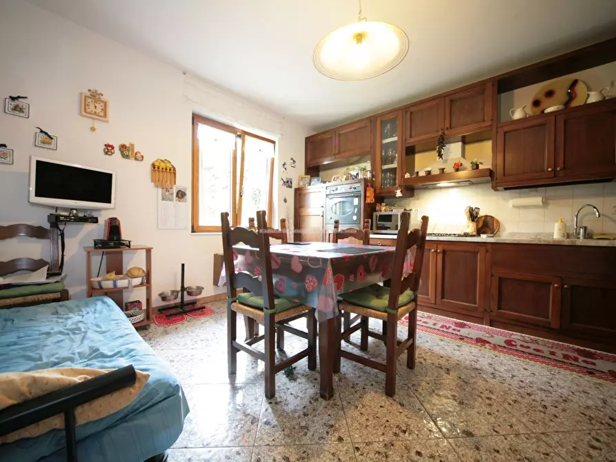 Immagine 3 di Villa in vendita  a Arcola