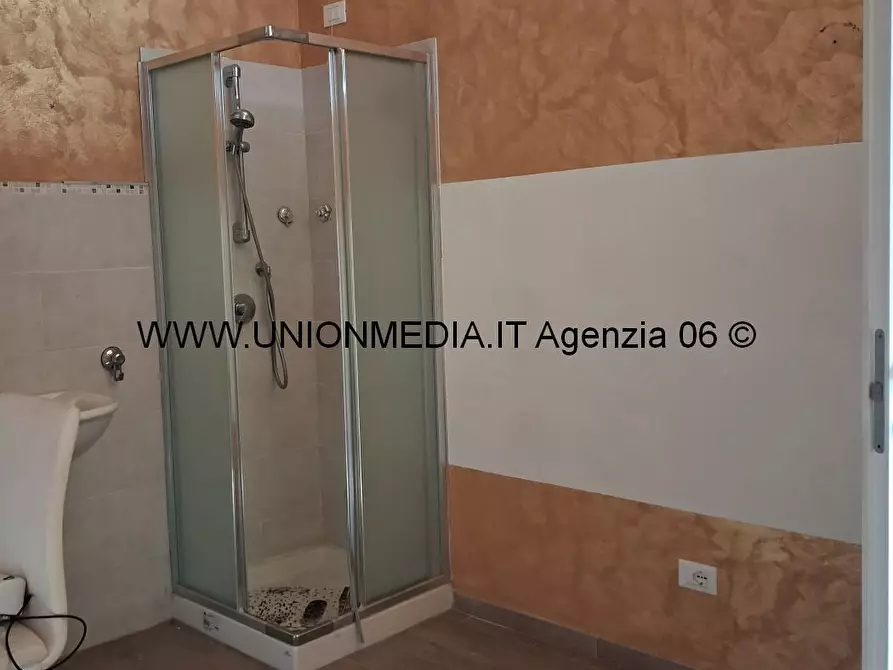 Immagine 5 di Capannone industriale in affitto  a Arcola