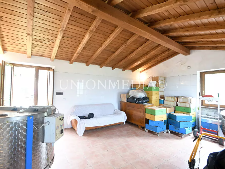 Immagine 12 di Casa indipendente in vendita  in via canepari a Fosdinovo