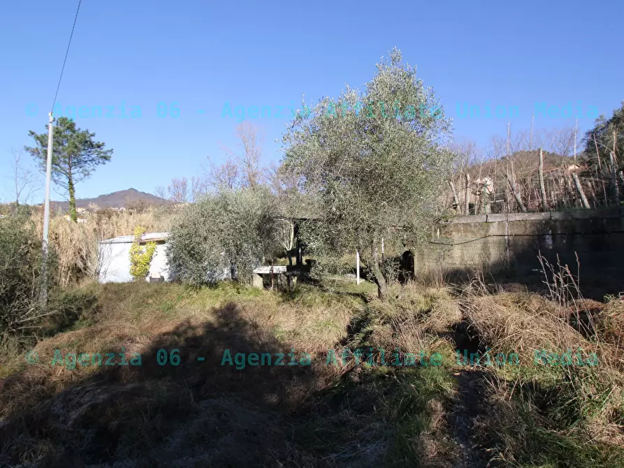 Immagine 15 di Terreno edificabile in vendita  a Bolano