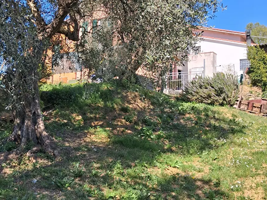 Immagine 6 di Casa semindipendente in vendita  a Arcola