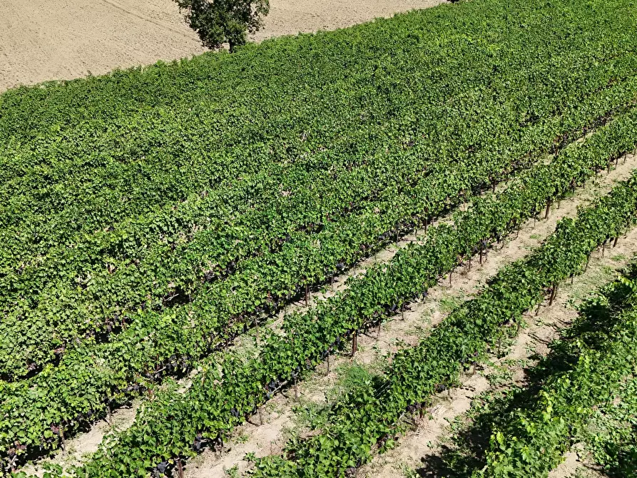 Immagine 16 di Casa indipendente in vendita  in Via Roma 14A a Borghi