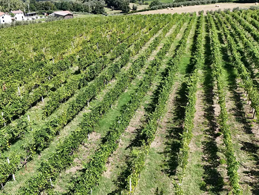 Immagine 13 di Casa indipendente in vendita  in Via Roma 14A a Borghi