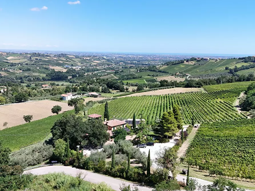 Immagine 12 di Casa indipendente in vendita  in Via Roma 14A a Borghi