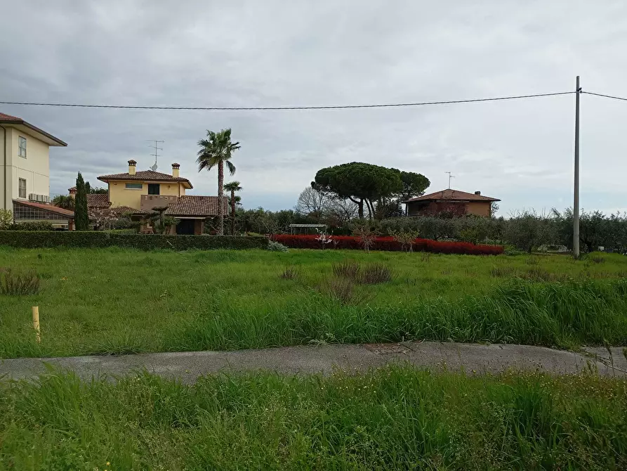 Immagine 3 di Terreno agricolo in vendita  a Verucchio