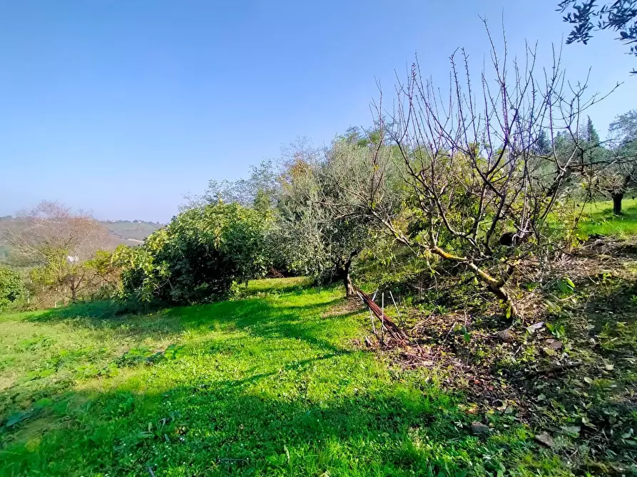 Immagine 36 di Casa indipendente in vendita  in Via Santa Cristina 137A a Rimini