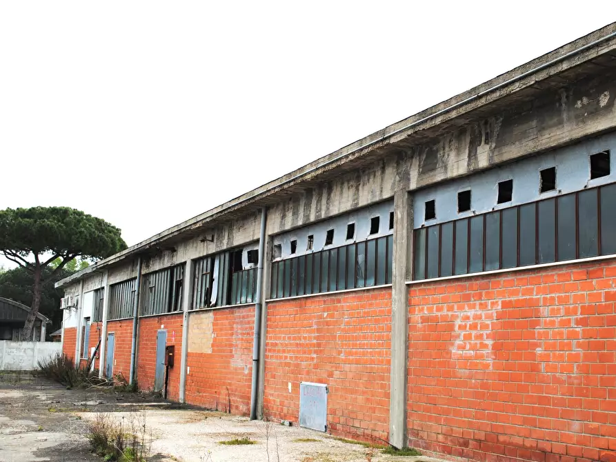 Immagine 10 di Attività artigianale in vendita  in Via Jesi a Pesaro
