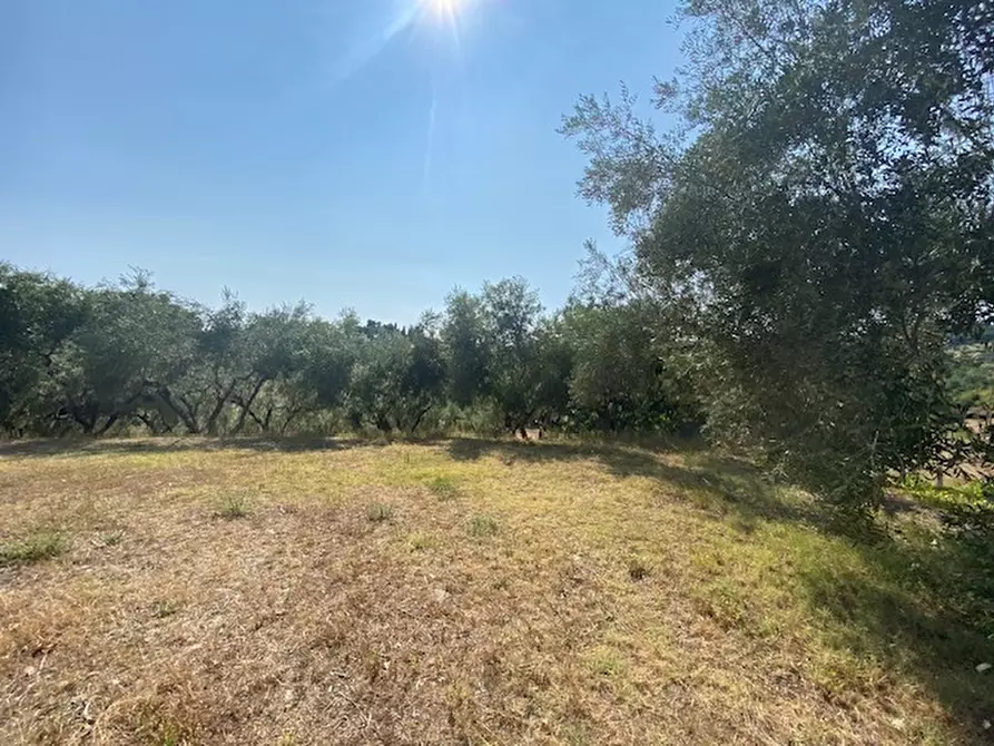 Immagine 40 di Rustico / casale in vendita  in Via Sant'Andrea in Villis a Fano