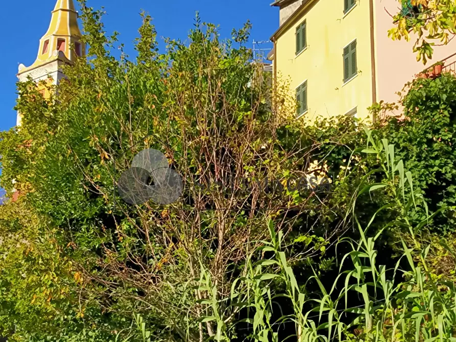 Immagine 5 di Rustico / casale in vendita  in Via del Castello snc a Fivizzano