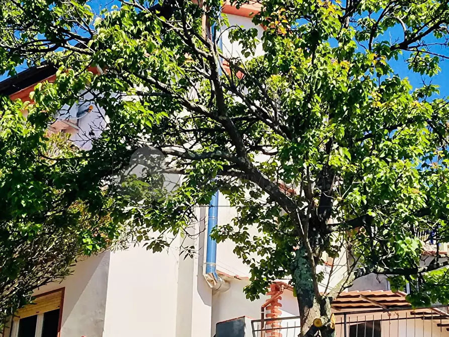 Immagine 13 di Villa in vendita  in Via Fratelli Aristide e Alduino Castellini 8 a Vezzano Ligure