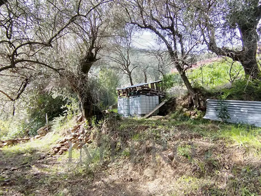 Immagine 5 di Terreno agricolo in vendita  in Via delle Otto Case a Ventimiglia