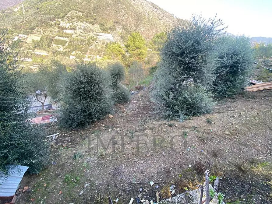 Immagine 25 di Casa indipendente in vendita  in Via Umberto Lorenzi a Ventimiglia