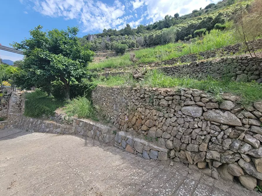 Immagine 8 di Terreno agricolo in vendita  in Via Anacleto Hughes 22/A a Ventimiglia