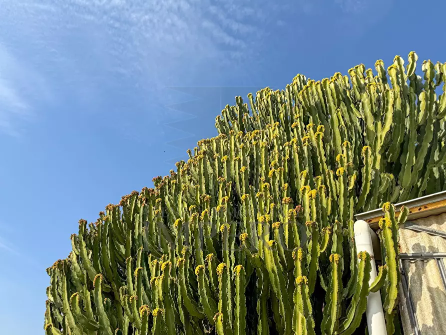 Immagine 19 di Villa in vendita  in Strada della Cava 18 a Bordighera