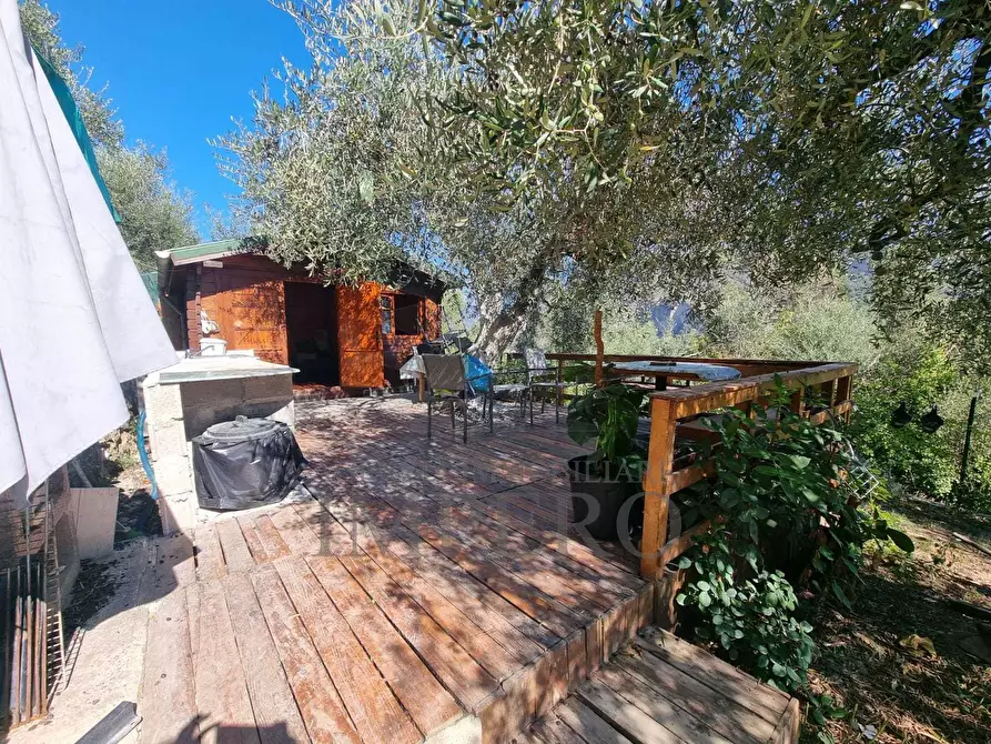 Immagine 26 di Terreno agricolo in vendita  in Via Monsignore Daffra 40 a Ventimiglia