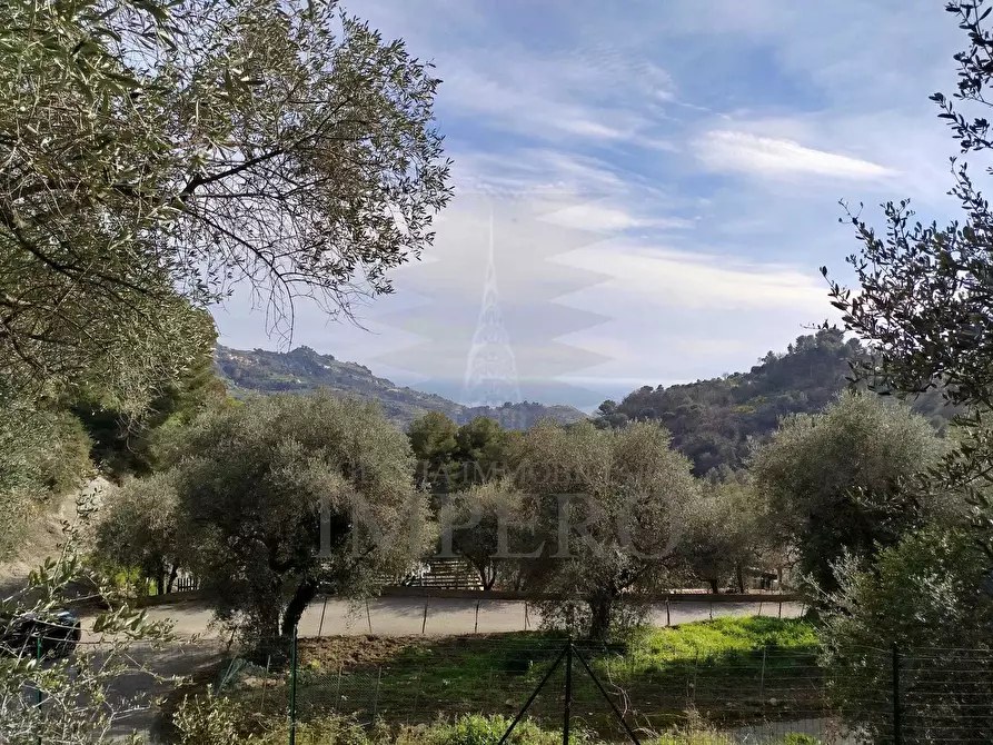 Immagine 4 di Terreno agricolo in vendita  in Via delle Otto Case a Ventimiglia