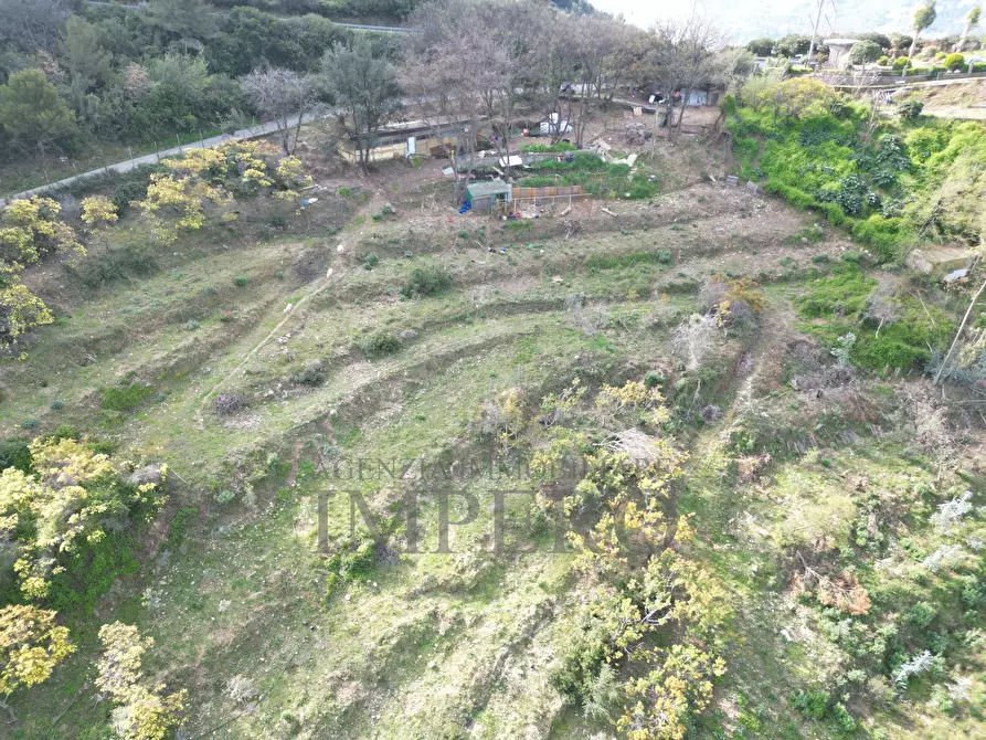 Immagine 4 di Terreno agricolo in vendita  in Regione Magauda 36 a Camporosso