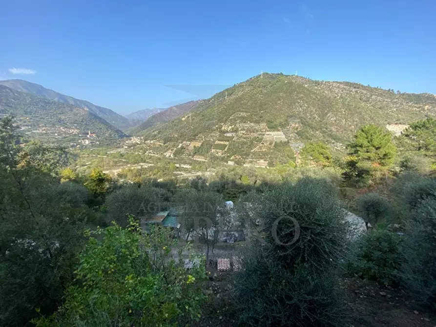 Immagine 17 di Casa indipendente in vendita  in Via Umberto Lorenzi a Ventimiglia