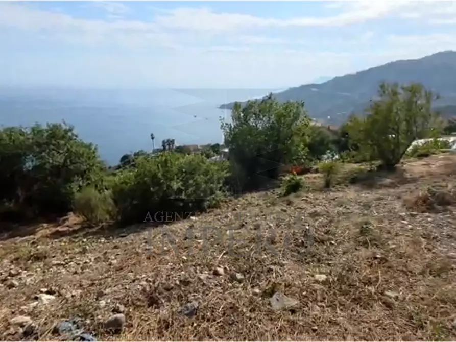 Immagine 4 di Terreno agricolo in vendita  in Località Ville Superiori 30 a Ventimiglia