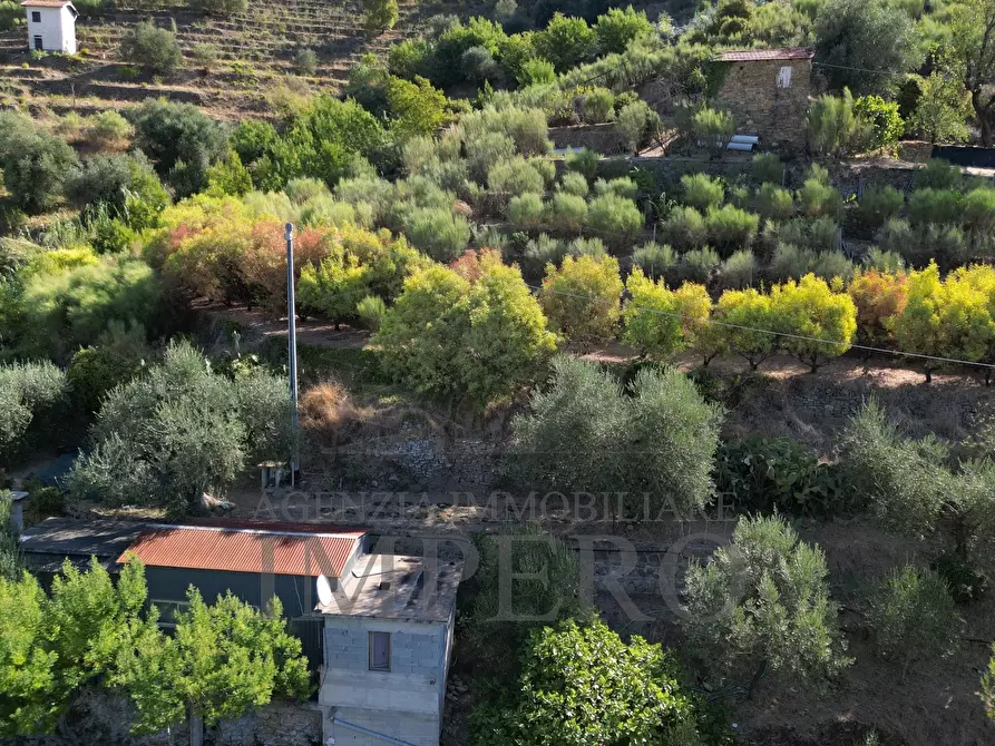 Immagine 12 di Terreno agricolo in vendita  in via provinciale 44 a San Biagio Della Cima