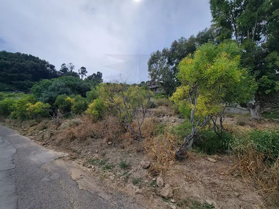 Immagine 4 di Terreno agricolo in vendita  in Via delle Otto Case 1 a Ventimiglia