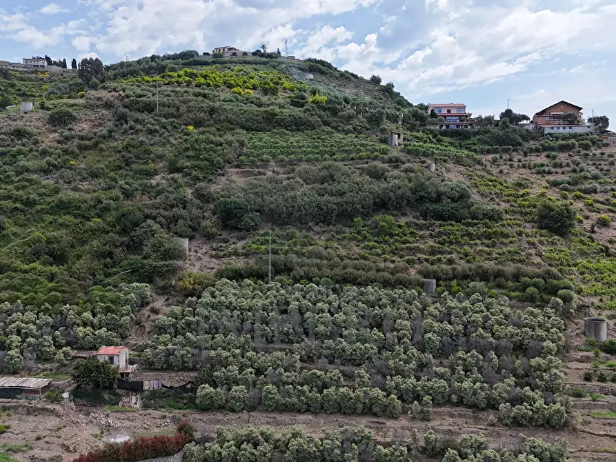 Immagine 23 di Terreno agricolo in vendita  in Via Anacleto Hughes 22/A a Ventimiglia