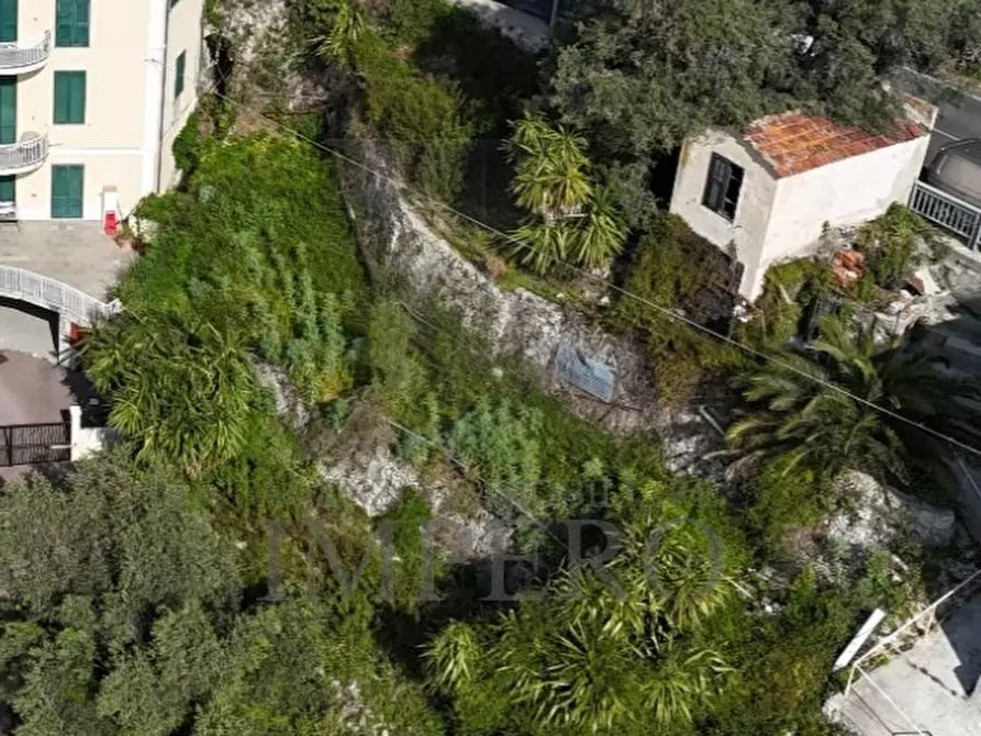 Immagine 6 di Terreno agricolo in vendita  in Corso Mentone 37 a Ventimiglia