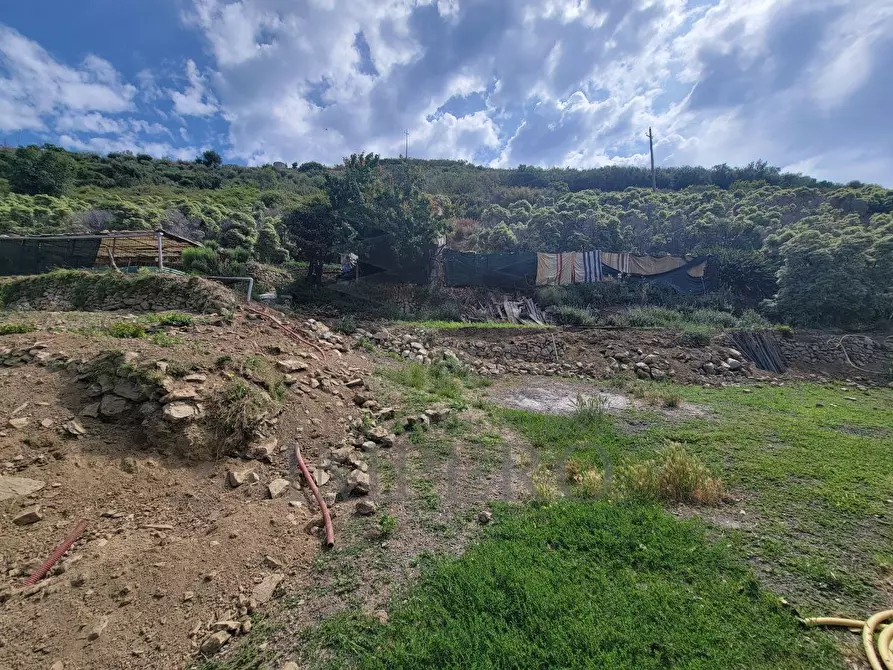 Immagine 7 di Terreno agricolo in vendita  in Via Anacleto Hughes 22/A a Ventimiglia