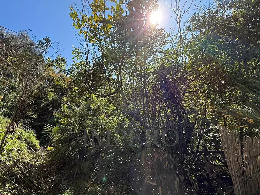 Immagine 18 di Casa indipendente in vendita  in Via Silvio Pellico a Bordighera