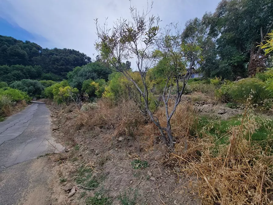 Immagine 5 di Terreno agricolo in vendita  in Via delle Otto Case 1 a Ventimiglia