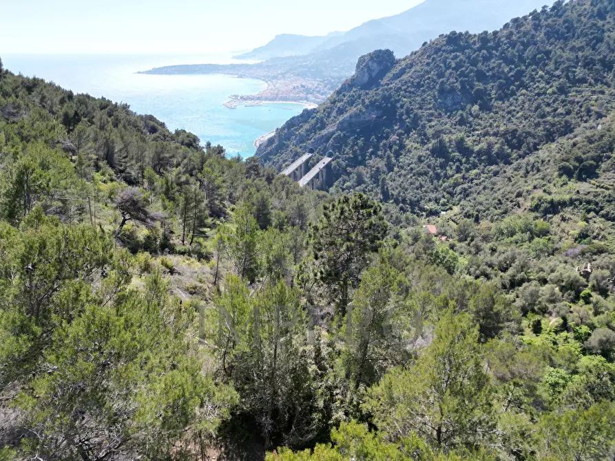 Immagine 37 di Terreno agricolo in vendita  in Via Case Gina 13 a Ventimiglia
