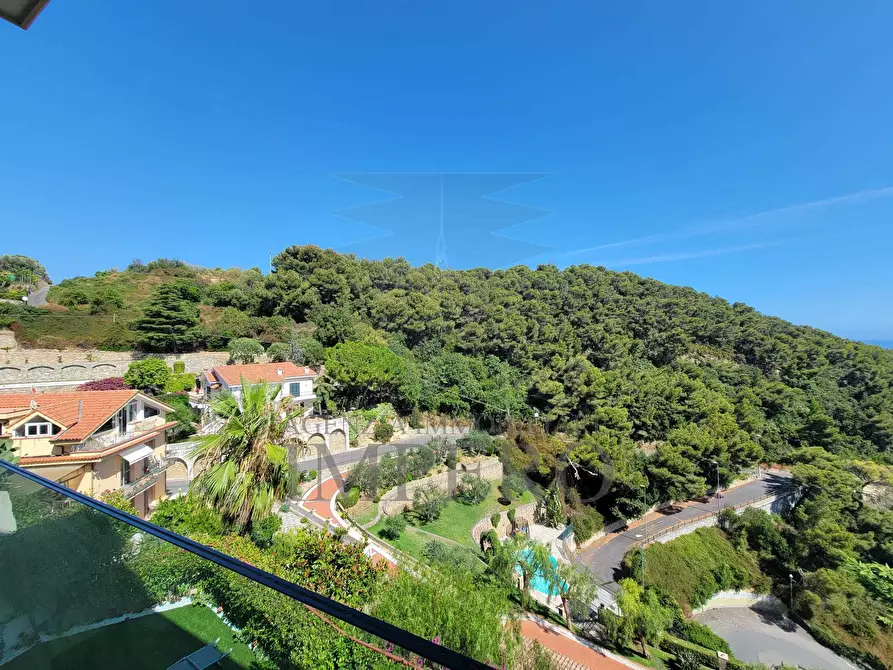 Immagine 29 di Bilocale in vendita  in Via Privata Bellavista 153 a Vallecrosia