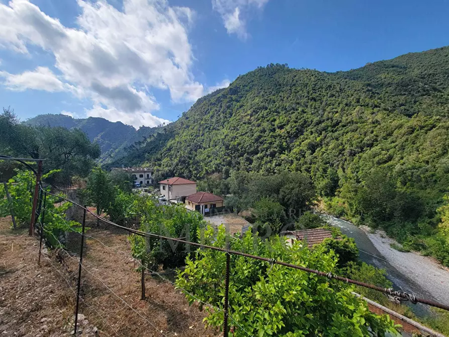 Immagine 67 di Casa bifamiliare in vendita  in Via Nazionale 8 a Airole