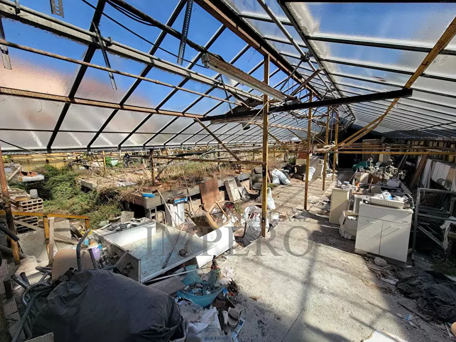 Immagine 22 di Magazzino in vendita  in Strada Statale 1 35 a Camporosso